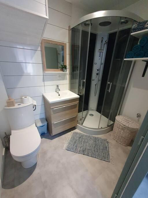 Roanne Centre, Appartement Refait A Neuf. Eksteriør bilde